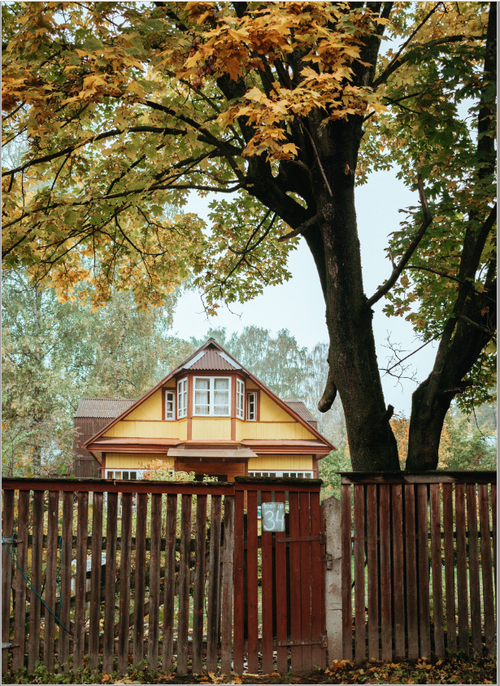 La ruta de la destrucción de López Obrador (De Texcoco al Instituto Nacional Electoral)