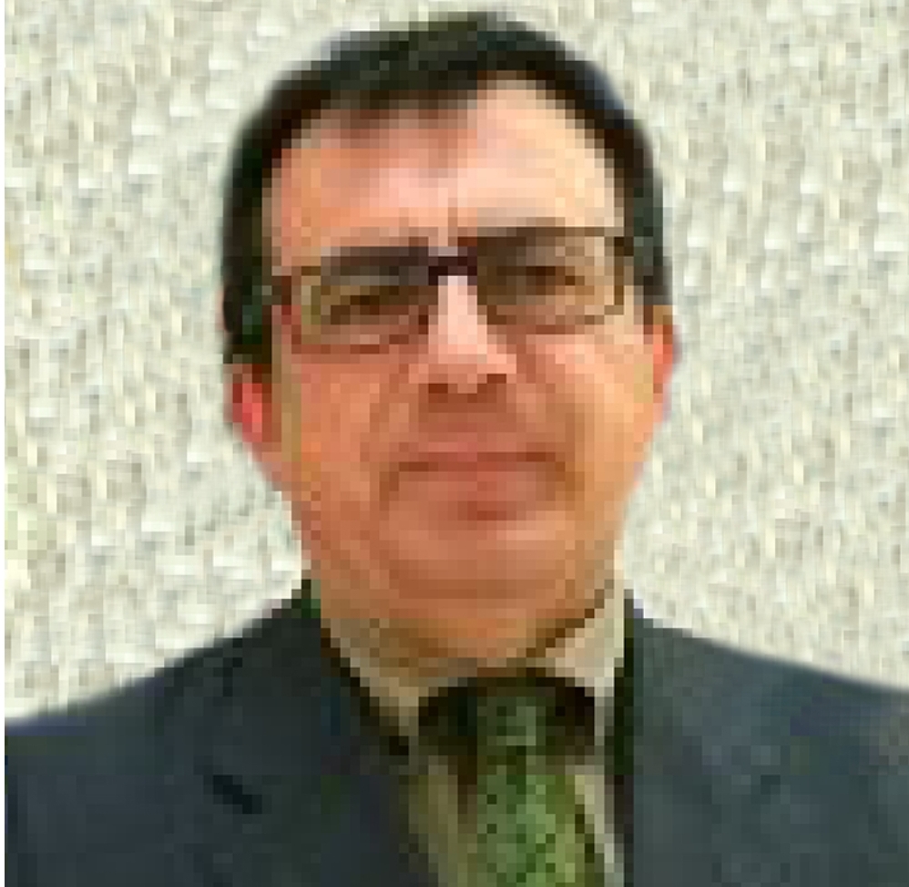 The 2022 American midterm elections: a return to common sense